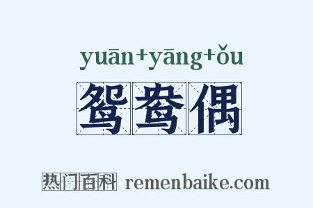 鸳鸯偶是什么意思的图片
